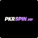 PKR SPIN Game